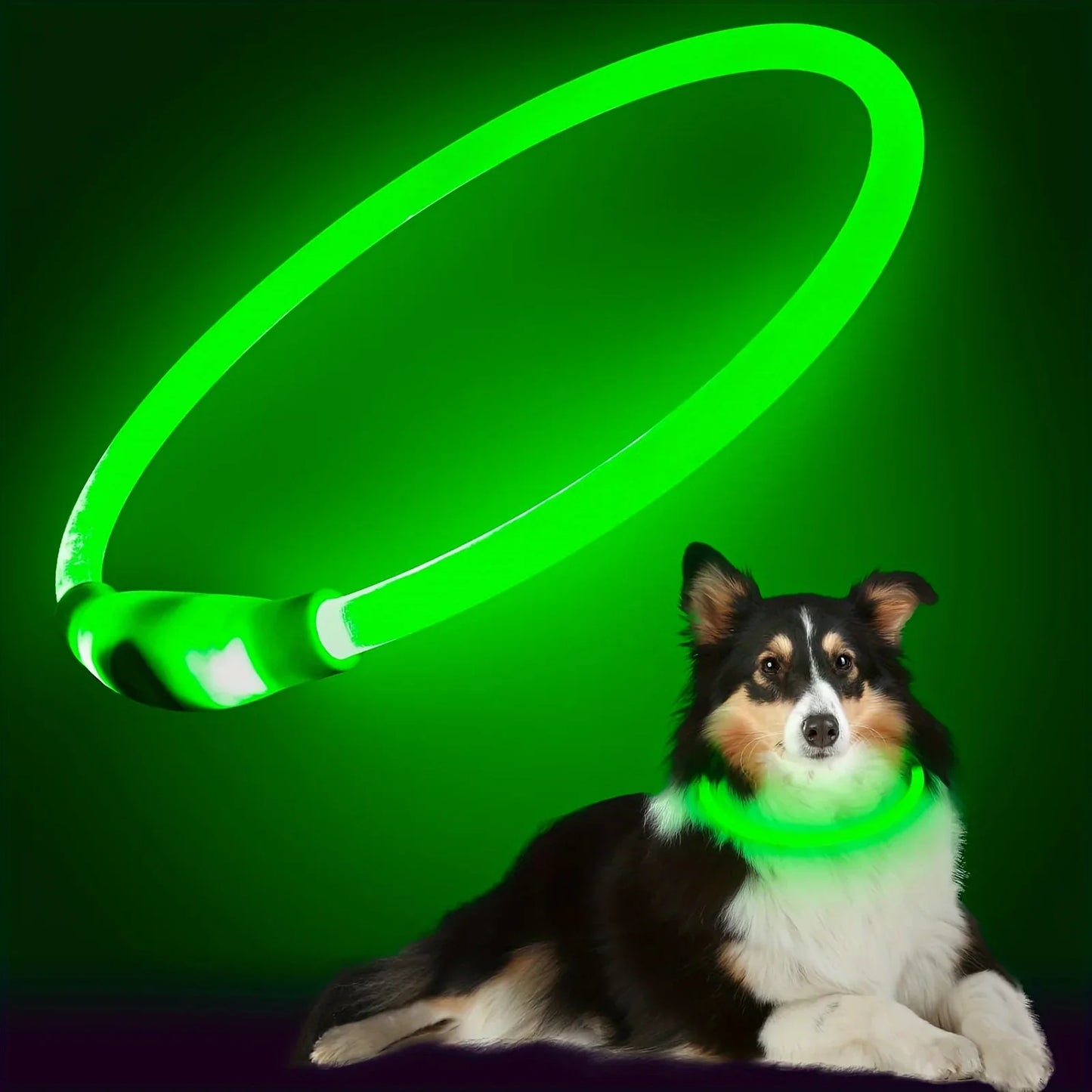 LED Illuminated Dog Collar - Rechargeable Anti-Lost Necklace for Small, Medium, and Large Dogs