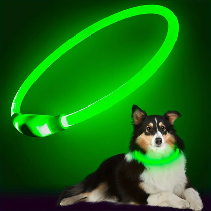 LED Illuminated Dog Collar - Rechargeable Anti-Lost Necklace for Small, Medium, and Large Dogs