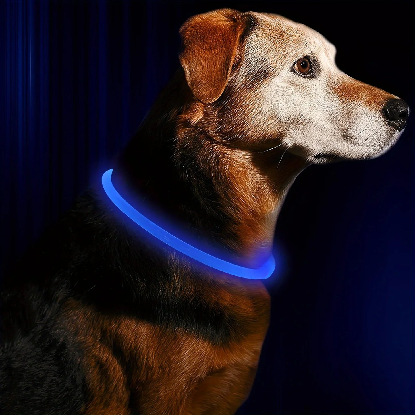 LED Illuminated Dog Collar - Rechargeable Anti-Lost Necklace for Small, Medium, and Large Dogs