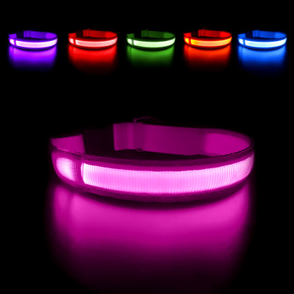 LED Dog Collar - Waterproof Luminous Safety Accessory with Flashing Light Feature