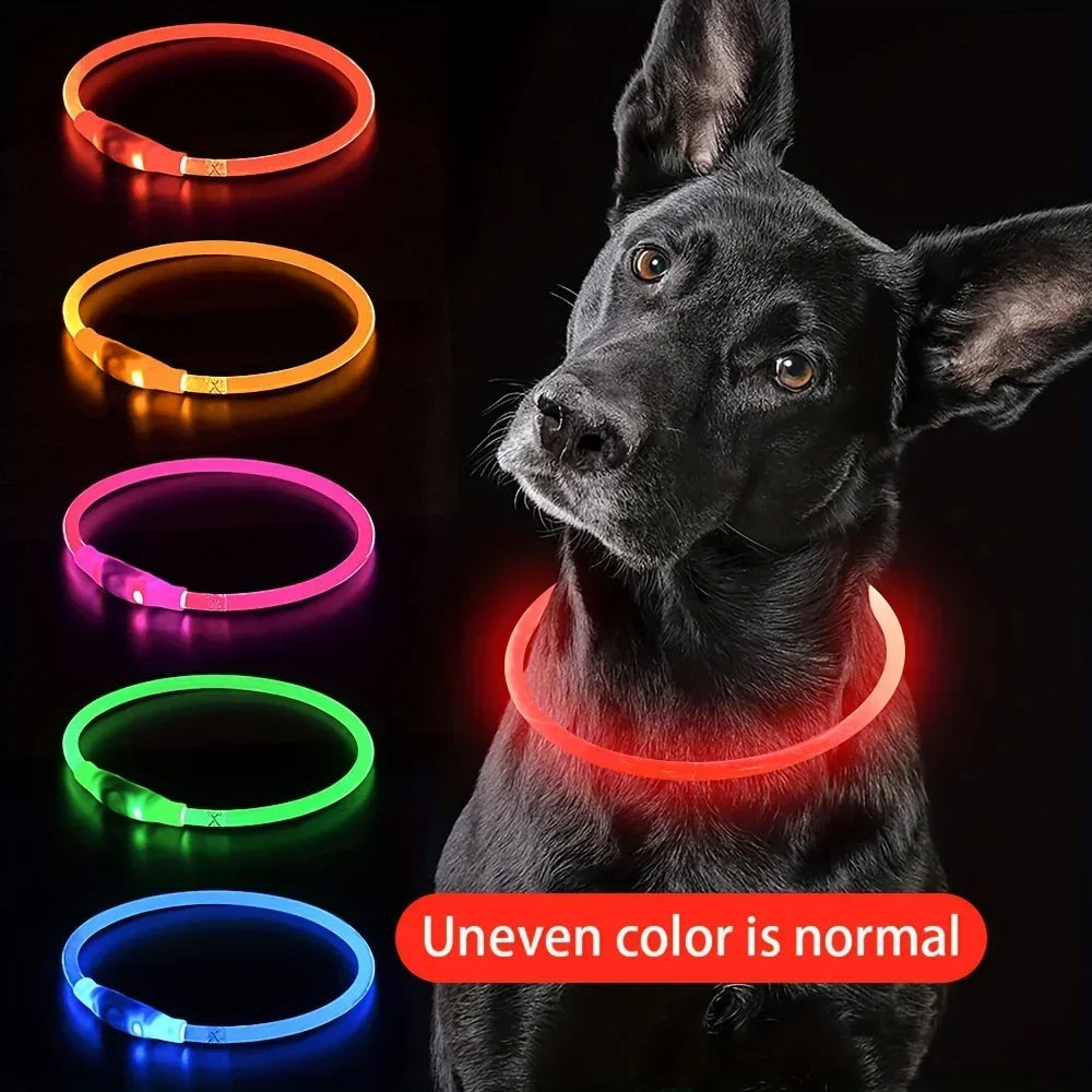 LED Illuminated Dog Collar - Rechargeable Anti-Lost Necklace for Small, Medium, and Large Dogs