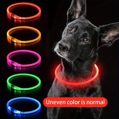 LED Illuminated Dog Collar - Rechargeable Anti-Lost Necklace for Small, Medium, and Large Dogs
