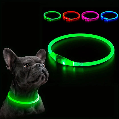 LED Illuminated Dog Collar - Rechargeable Anti-Lost Necklace for Small, Medium, and Large Dogs