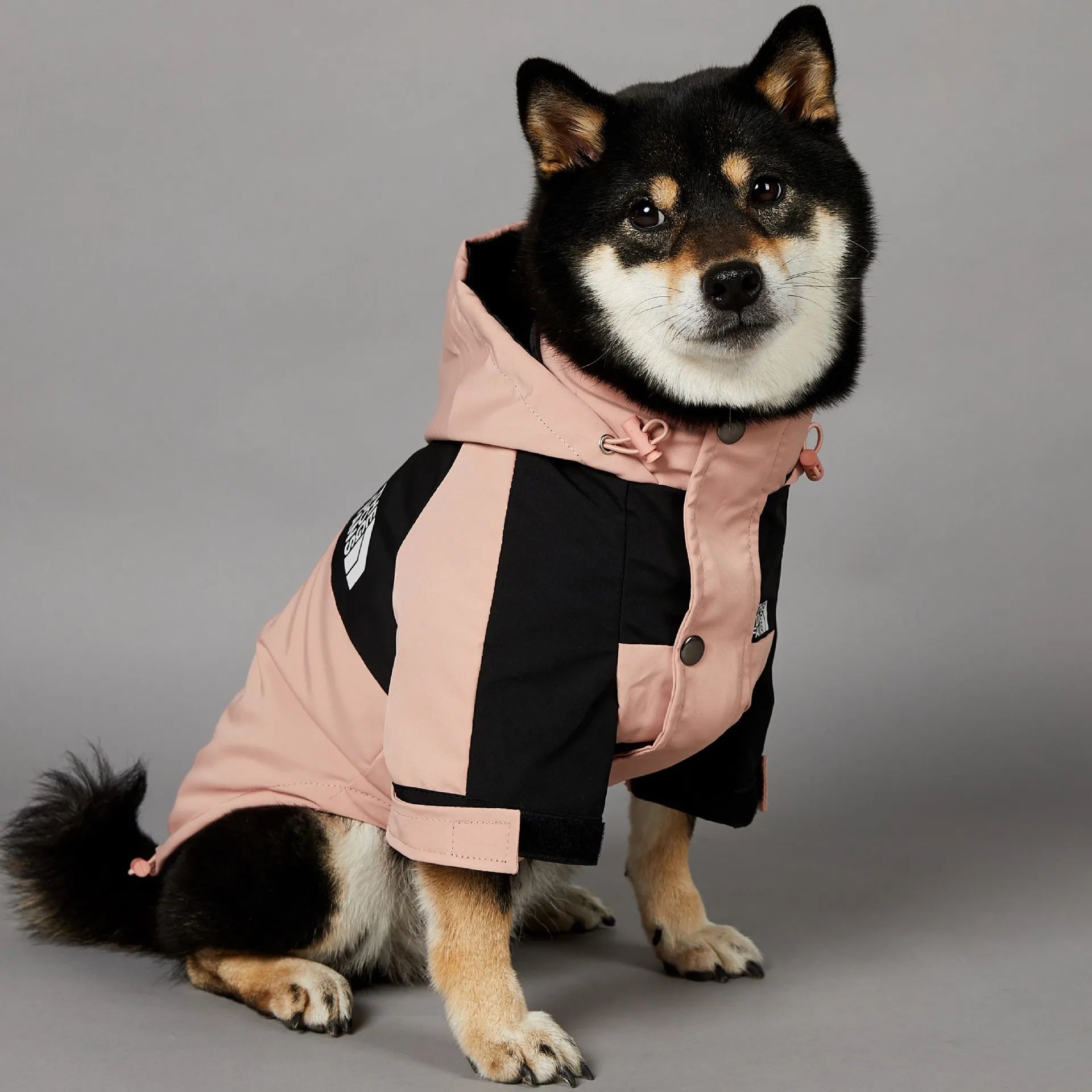 Dog Raincoat and Windbreaker Jacket for Small to Large Breeds, Suitable for French Bulldogs and Chihuahuas