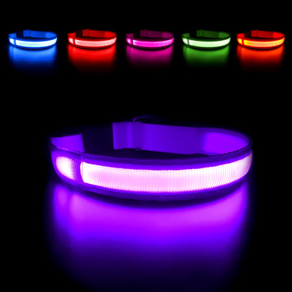LED Dog Collar - Waterproof Luminous Safety Accessory with Flashing Light Feature