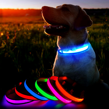 LED Dog Collar - Waterproof Luminous Safety Accessory with Flashing Light Feature
