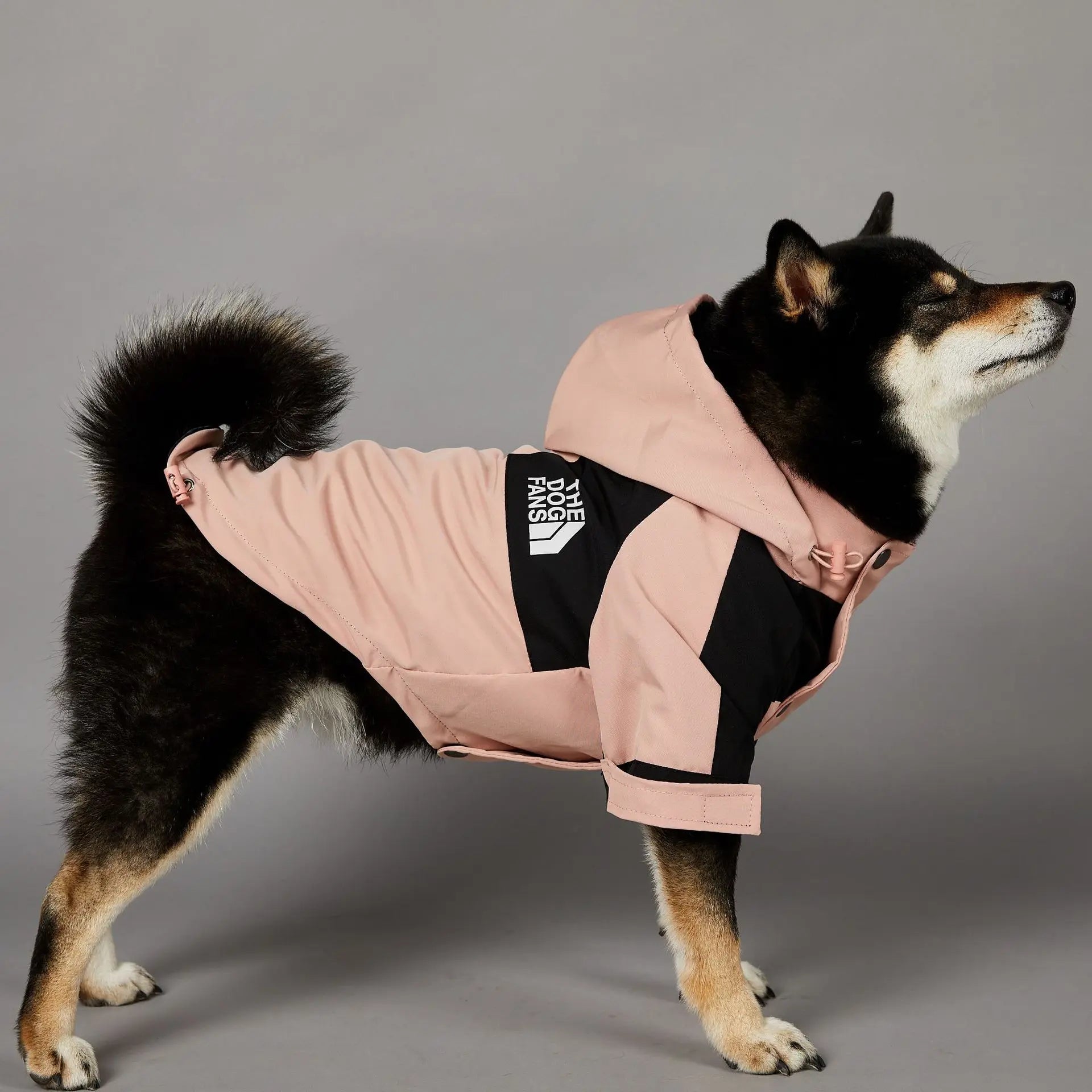 Dog Raincoat and Windbreaker Jacket for Small to Large Breeds, Suitable for French Bulldogs and Chihuahuas